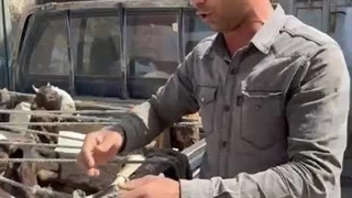 بسته بندی و پخش خرما و آجیل دکتر خرما در زنجان
