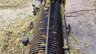 دستگاه پوستگیر بادام