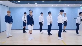 دسته اردک ها