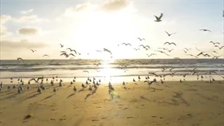 میکس حس خوب - یک موزیک ملایم و آرامش بخش