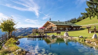 مقایسه رنگ‌های چوب ترمو : چرا رنگ چوب وودگارد WOOD.guard انتخاب حرفه‌ای‌هاست؟