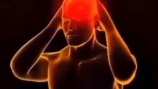 "Ad Midori" هنوز با واقعیت زندگی آشنا نشده!