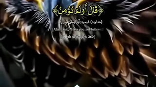 قرآن