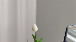 اگه میخوای یک حس خاص از زندگیت تجربه کنی حتما Monolisa.ir و امتحان کن