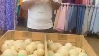 پر فروشی برادران حسینی