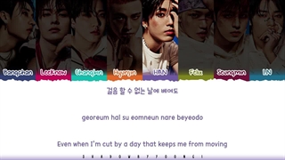 لیریک ترک Phoenix از استری کیدز درخواستی