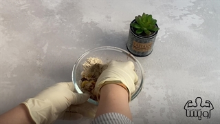 3 مدل توپک رژیمی و انرژی زا