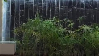 کلینیک دندانپزشکی