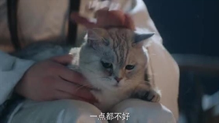 مینی سریال چینی ایمان(The Demon 2025)قسمت ششم با زیرنویس فارسی