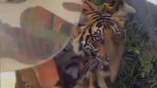 خدا امام حسین به هرکس نمی ده