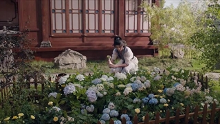 قسمت شانزدهم سریال چینی سایه عشق + زیرنویس فارسی Shadow Love