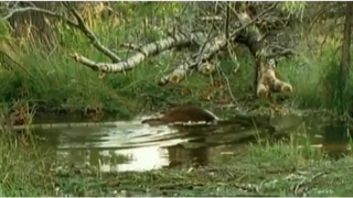 علوم دوم ابتدایی درس دهم