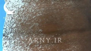 پوست گاو جذاب برای دکوراسیون منزل