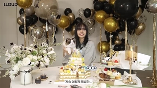 Special Birthday Q&A with Lisa | 27 years around the sun | Exclusive Merch Drop