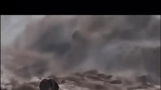 من حتی تو تابستونم درس دارمممم