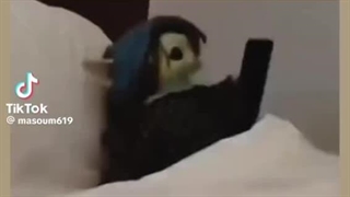 حق ترین ویدیویی که امروز دیدم.عررر:)!!!!