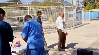 آدینه پرس/اقدامات درمانی برای شیر آفریقایی باغلارباغی تبریز