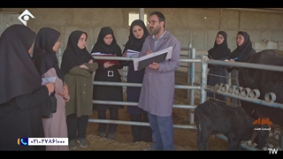 سریال بادار قسمت 7