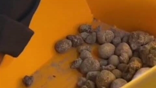 تست دستگاه آسیاب صنعتی اسوه صنعت قبل از خرید