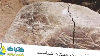 همه چیز درباره کتراک | آموزش، کاربرد و نکات مهم