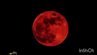 Blood moon