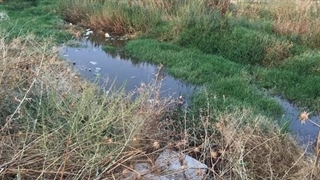 رهاسازی فاضلاب شهری در زمین‌های کشاورزی اصفهان