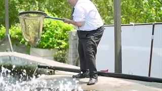 راز یه ماهی قزل‌آلای تُپُل مُپُل