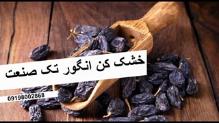 دستگاه خشک‌کن انگور | تولید کشمش طلایی و ارگانیک