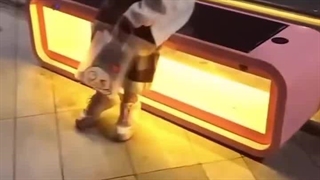 زندگی در ژاپن