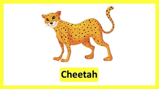 لیست کامل حیوانات به انگلیسی