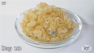 علوم تجربی ششم دبستان | درس دوازدهم: جنگل برای کیست؟ | رشد کپک در برنج