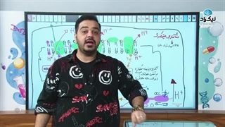 زنجیره انتقال الکترون میتوکندری