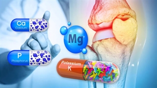 Dates وقتی هر روز شروع به خوردن خرما می کنید چه اتفاقی می افتد؟