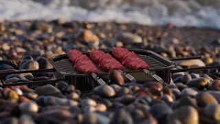 چاشنی بندری