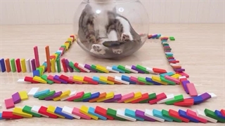 ارزششو داره , تا اخر ببین