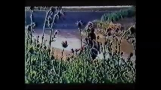 فیلم سینمایی ترکمنی سمندر سال1364