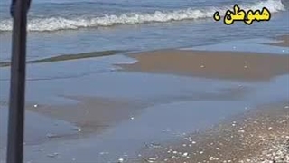 هموطن (کلیپ های نژاد)