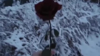 من یه گل پژمردم که....