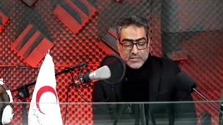 علیرضا لاوی