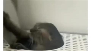 انسان های نرمال از اشتباهاتشون درس میگیرن ولی من .