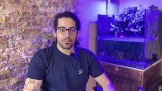 لاک پشت گوش قرمز و راز های نگهداری از این موجود محبوب