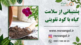 پشتیبانی از سلامت گیاه با کود های تقویتی