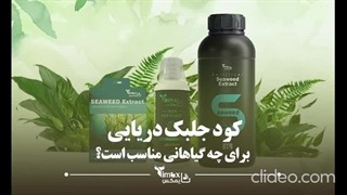 کود جلبک دریایی برای زاموفیلیا