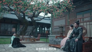 مینی چینی سریال ندیمه The Maidقسمت19بازیرنویس فارسی