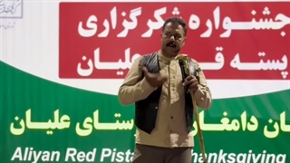 اولین جشنواره شکرگزاری «پسته قرمز علیان»؛ جشن رنگ، عطر و طعم در قلب دامغان | پیوند میراث فرهنگی، کشاورزی و گردشگری