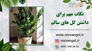 نکات مهم برای داشتن گل های سالم