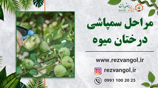 مراحل سمپاشی درختان میوه