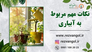 نکات مهم مربوط به آبیاری