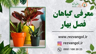 معرفی گیاهان فصل بهار