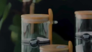 پلاسکو محمدی ساری